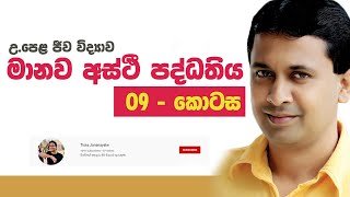Tissa Jananayake - Lecture Session 10