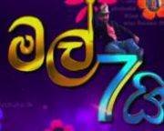 mal-hathai-teledrama-(34)-06-01-2018