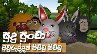 sudu-puncha-25-12-2019