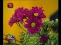 nugasewana-mal-sakasum-04-09-2018