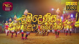 dambadeniya-sri-dalada-perahera-05-08-2023