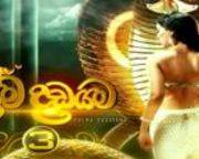 Prema Dadayama  3 (37) / 10-02-2019