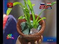 nugasewana-mal-sakasum-19-06-2018