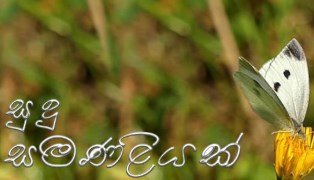 sudu-samanaliyak-(10)-25-01-2019