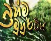 Brahma Muhurthaya  (29) / 15-08-2014