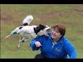 best-fails-04-09-2017