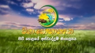 Waga Saubhagyaya 12-02-2020