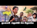gaja-man-01-09-2017