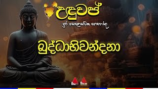 buddhabhiwandana-14-12-2024
