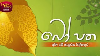 Bo Patha 26-05-2024