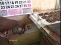 drug-racket-operating-near-school-busted-29-01-2017
