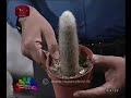 nugasewana-plant-a-cactus-garden-10-09-2019