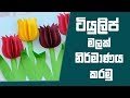Piyum Vila - Tiyulip Flowers 09-07-2018