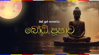 sirasa-bodhi-poojawa-23-04-2024