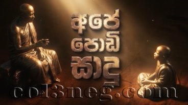 ape-podi-sadu-25-10-2026
