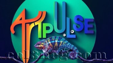 art-pulse-10-10-2026