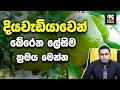 best-way-to-cure-diabetes-naturally-25-10-2019