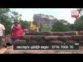 ukussa-not-enough-attention-given-to-protect-sigiriya-22-01-2017