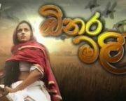 Binara Malee (107) / 07-04-2015