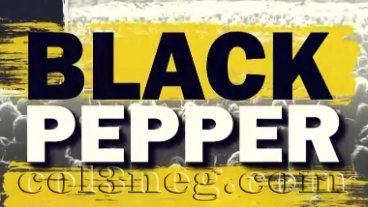 black-pepper-19-09-2024