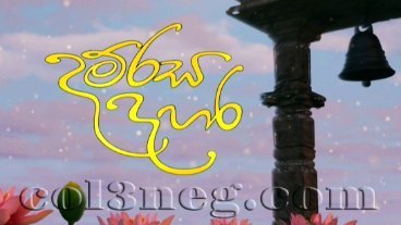 damrasa-dahara-01-05-2026