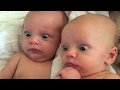 baby-vines-07-06-2017