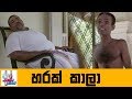 HARAK KALA 28-06-2018