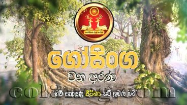 gosinga-wana-arana-episode-2