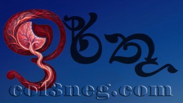 irthu-episode-2