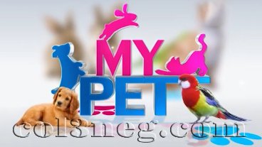 my-pet-23-04-2021