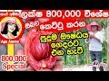 800k-special-06-11-2019