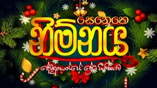 senehe-nimnaya-25-12-2021