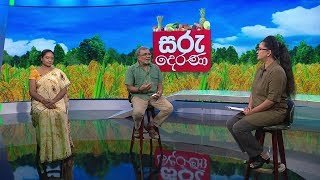 saru-derana-20-04-2020