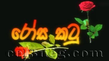 rosa-katu-episode-1