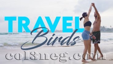 travel-birds-11-10-2026